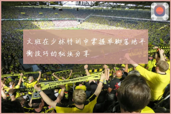 文班在少林特训中掌握单脚落地平衡技巧的秘诀分享