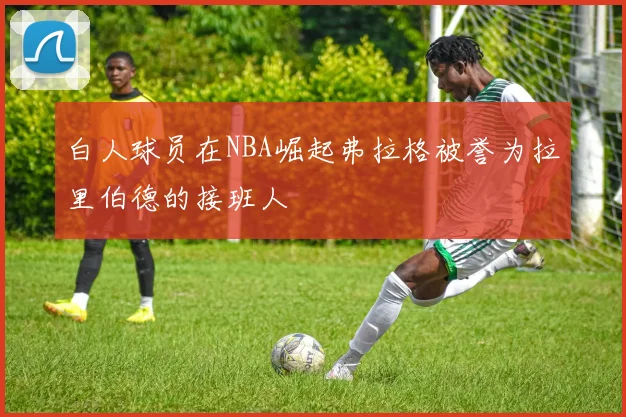 白人球员在NBA崛起弗拉格被誉为拉里伯德的接班人